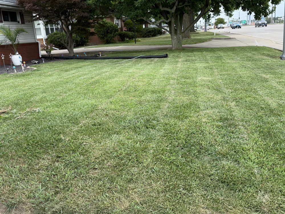 Lawn Mowing